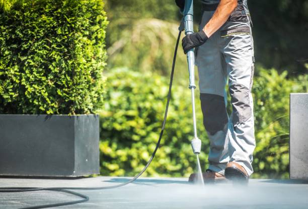 Best Sidewalk and Walkway Cleaning  in Redington Shores, FL