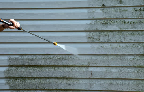 Best Driveway Pressure Washing  in Redington Shores, FL
